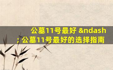 公墓11号最好 – 公墓11号最好的选择指南